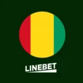 Linebet Guinée 