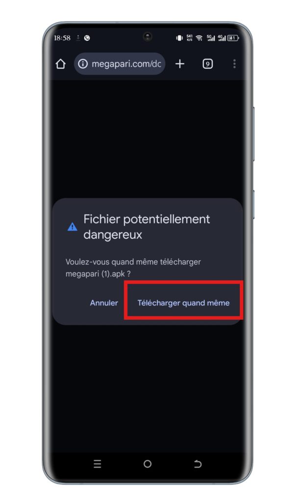 Autorisez le téléchargement