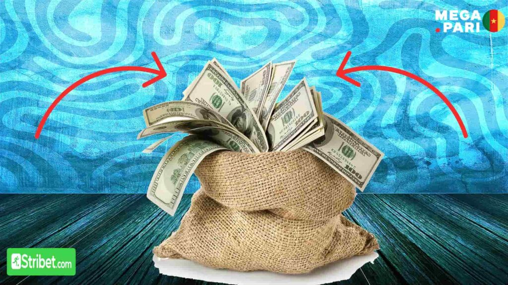 h2 Megapari Cameroun comment faire un depot sur Megapari Cameroun