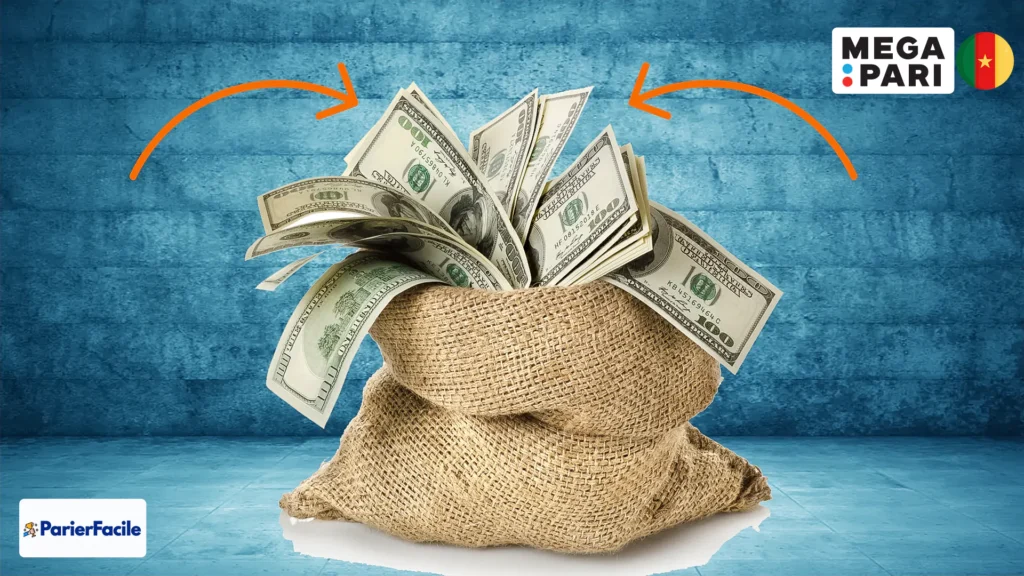 Dépôt sur Megapari Cameroun