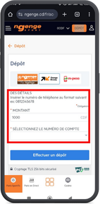 Entrer les infos de dépôt Ngenge