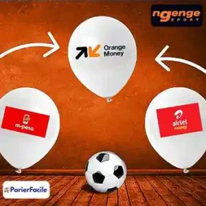 Les méthodes de paiements fiables sur Ngenge