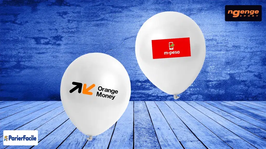 Méthodes disponibles des paiements sur Ngenge